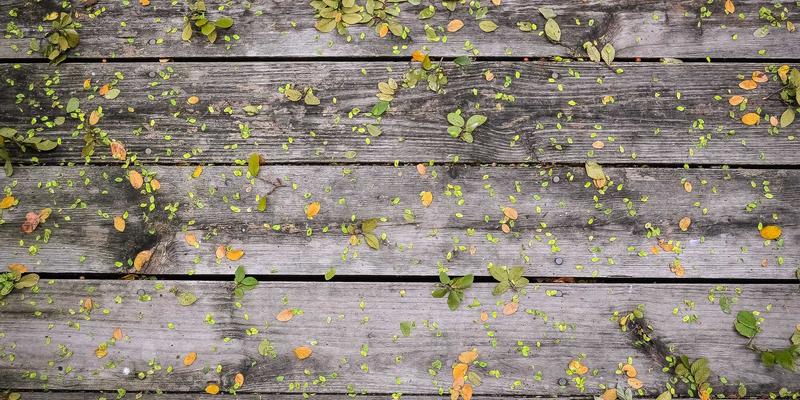 2024年旗舰手机深度横评:影像、性能与AI体验的全面革新