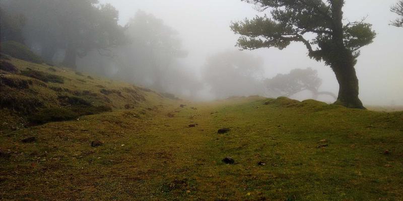 人工智能与未来电脑硬件:驱动科技变革的双引擎