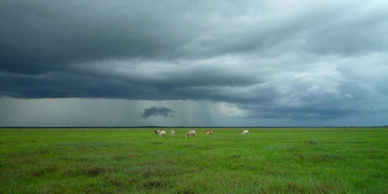 从指纹到步态识别：生物识别技术的安全演进与未来科技展望