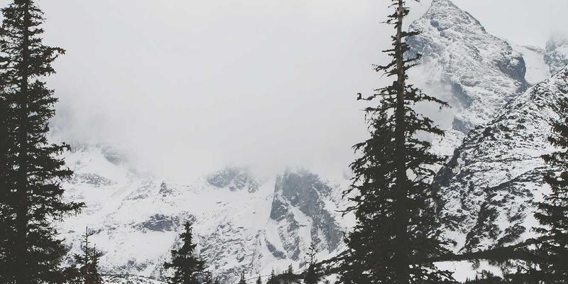 从电脑硬件到手机评测：自动驾驶技术背后的伦理挑战与法规现状