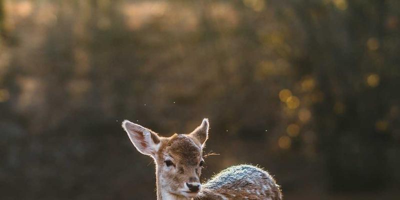 从硬件革新到未来蓝图：科技资讯揭示的三大技术浪潮