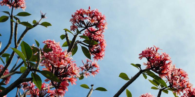 未来科技瞭望：如何高效获取科技资讯与硬件选购策略