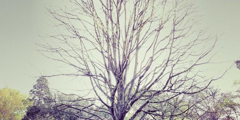 科技资讯43:AI手机评测新纪元,数码产品如何借人工智能重构用户体验