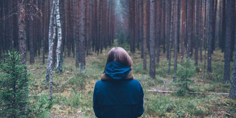 科技资讯解码：从普洛尼克到未来手机，如何读懂明日世界
