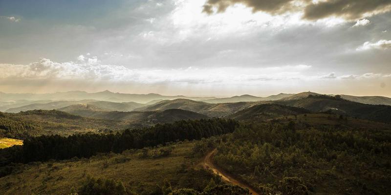 算力革命：人工智能如何驱动新材料与药物研发的数码化变革