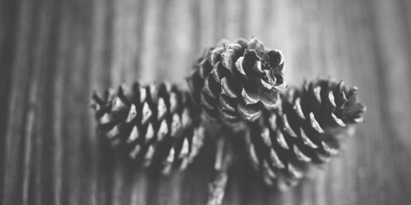 自动驾驶感知系统：激光雷达与视觉融合技术如何重塑未来出行